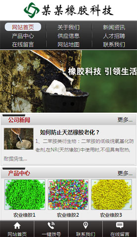 广州电脑网站模板
