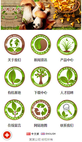 广州电脑网站模板