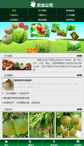 广州电脑网站模板