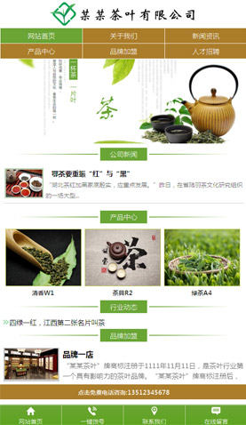 广州电脑网站模板