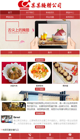 广州电脑网站模板