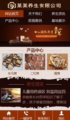 广州电脑网站模板