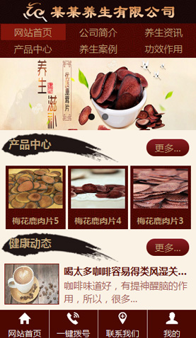 广州电脑网站模板