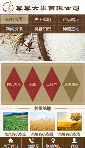 广州电脑网站模板
