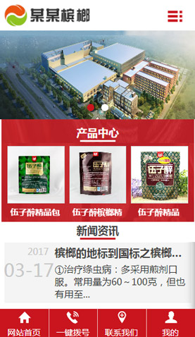广州电脑网站模板
