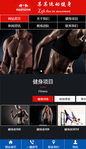 广州电脑网站模板